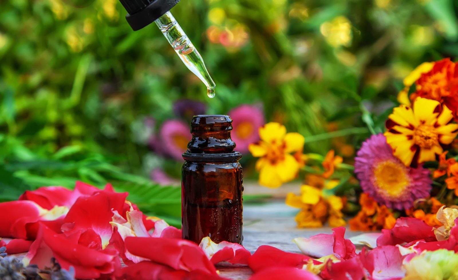 Élixirs floraux : flacon compte-gouttes en verre ambré entouré de fleurs colorées et de pétales de rose